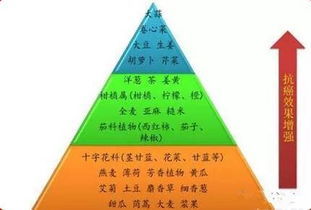 保险代理与汽车出租跨界合作 双赢模式与广阔前景